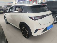BYD Dolphin Smart Drive 420km Freedom Edition - ფოტო 6