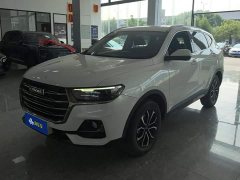 Haval H6 National Trend Edition 1.5T Automatic Urban Version - ფოტო 1