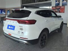Haval H6 National Trend Edition 1.5T Automatic Urban Version - ფოტო 3