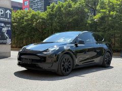 Tesla Model Y Rear-Wheel Drive - ფოტო 1