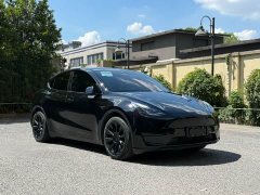 Tesla Model Y Rear-Wheel Drive - ფოტო 2