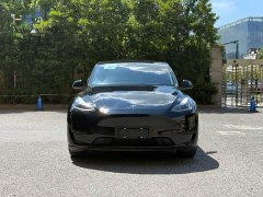 Tesla Model Y Rear-Wheel Drive - ფოტო 7