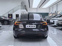 Tesla Model 3 Rear-Wheel Drive - ფოტო 14