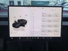 Tesla Model 3 Rear-Wheel Drive - ფოტო 9