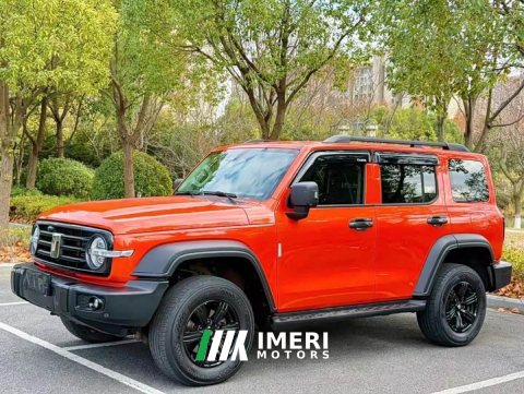 2022 Tank 300 Off-Road Edition 2.0T Conqueror - car from China