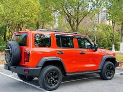 Tank 300 Off-Road Edition 2.0T Conqueror - ფოტო 11