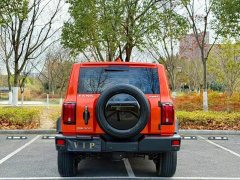 Tank 300 Off-Road Edition 2.0T Conqueror - ფოტო 12