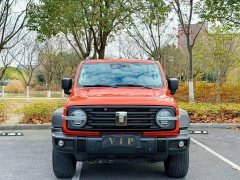Tank 300 Off-Road Edition 2.0T Conqueror - ფოტო 9