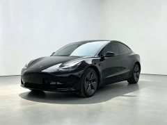 Tesla Model 3 Rear-Wheel Drive - photo 1
