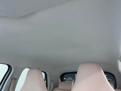 Leapmotor T03 310 Comfort Edition - ფოტო 10