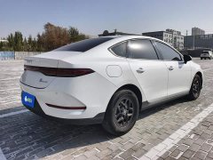BYD Qin PLUS DM-i Smart Drive Edition 55KM Leading - ფოტო 3
