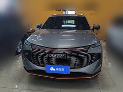 Haval Divine Beast 1.5T Smart Enjoy Edition - ფოტო 2