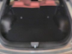 Haval Divine Beast 1.5T Smart Enjoy Edition - ფოტო 4
