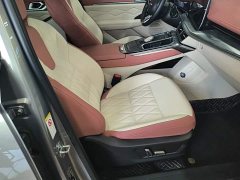Haval Divine Beast 1.5T Smart Enjoy Edition - ფოტო 8