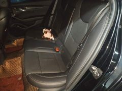Cadillac CT5 2.8T Luxury (Standard Edition) - ფოტო 13