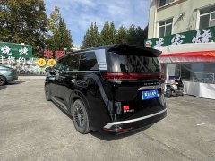 Denza D9 DM-i 1050 Premium - фото 4