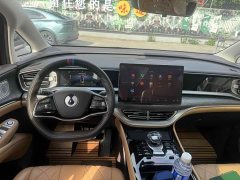 Denza D9 DM-i 1050 Premium - фото 8