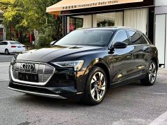 Audi e-tron 55 quattro Version - ფოტო 1