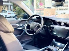 Audi e-tron 55 quattro Version - ფოტო 18