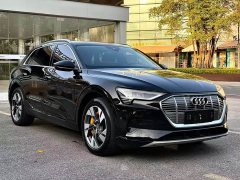 Audi e-tron 55 quattro Version - ფოტო 3