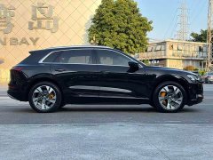 Audi e-tron 55 quattro Version - ფოტო 5