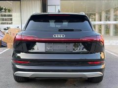 Audi e-tron 55 quattro Version - ფოტო 6