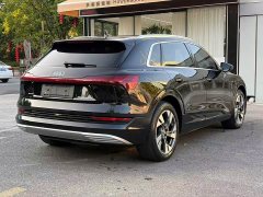 Audi e-tron 55 quattro Version - ფოტო 8