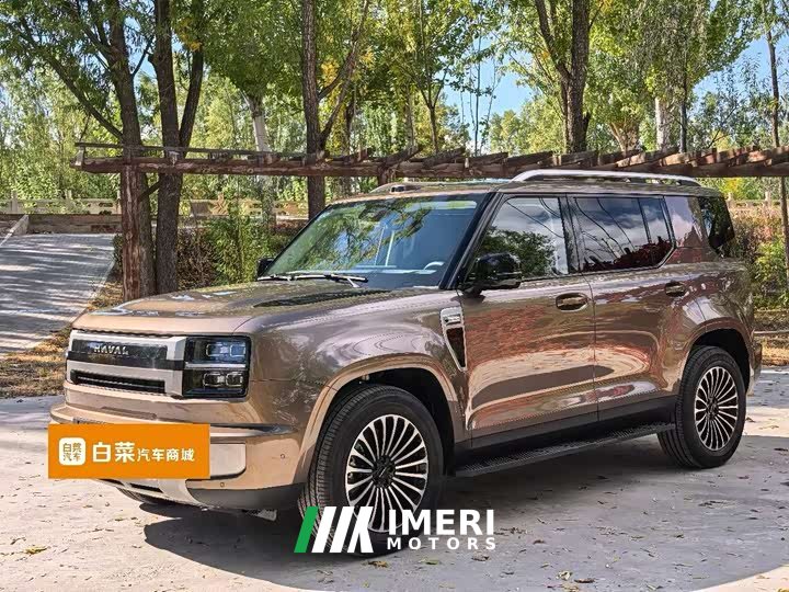 Great Wall H10 Hi4 Ultra 6-Seat Edition - ავტომობილი ჩინეთიდან