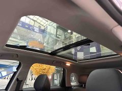 GAC Aion GS4 PLUS 270T Automatic Starlight Edition - photo 11