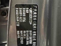 GAC Aion GS4 PLUS 270T Automatic Starlight Edition - photo 12