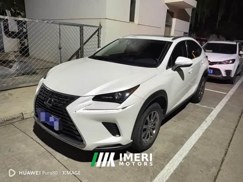 2021 Lexus NX 200 AWD Sharp Luxury Edition National VI - ავტომობილი ჩინეთიდან