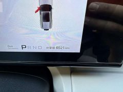 Fangchengbao Titanium 7 190KM Four-Wheel Drive Ultra Edition - ფოტო 11