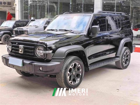 2025 Tank 300 New Energy Hi4-T 37.1kWh - ავტომობილი ჩინეთიდან
