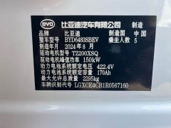 BYD Song Plus New Energy EV Glorious Edition 520km Luxury - фото 20