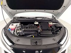 BYD Qin L DM-i 120KM Excellence - ფოტო 16