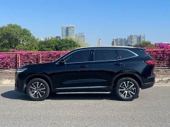 Haval H6 Third Generation 1.5T Automatic Two-Wheel Drive Pro - ფოტო 16