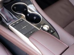 Lexus RX Facelift 300 AWD Elegance - фото 18