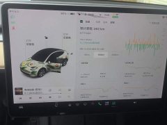 Tesla Model Y Standard Range RWD - photo 14