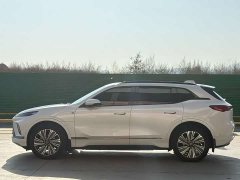 Buick E5 Premium Standard Range Edition - ფოტო 5