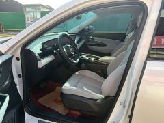 Buick E5 Premium Standard Range Edition - ფოტო 6
