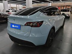 Tesla Model Y Rear-Wheel Drive - ფოტო 3
