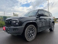 Jetour Jietu Traveler 2.0T Diesel AWD Explorer - photo 1