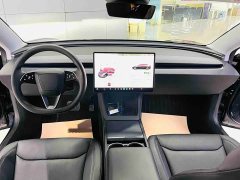 Tesla Model 3 Rear-Wheel Drive - photo 9