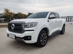 Mercedes-Benz Cannon 2.0T Passenger Auto Diesel 4WD Comfort GW4D20M - фото 1