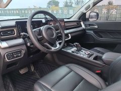 Mercedes-Benz Cannon 2.0T Passenger Auto Diesel 4WD Comfort GW4D20M - фото 5