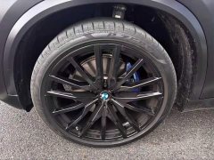BMW X5 xDrive40Li Year of the Horse Edition - ფოტო 9