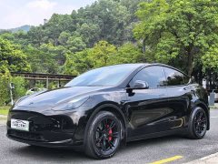 Tesla Model Y Facelift Rear-Wheel Drive - photo 1