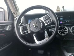 Tank 300 Off-Road Edition 2.0T Conqueror - ფოტო 8