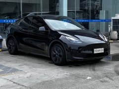 Tesla Model Y Rear-Wheel Drive - ფოტო 1