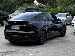 Tesla Model Y Rear-Wheel Drive - ფოტო 15